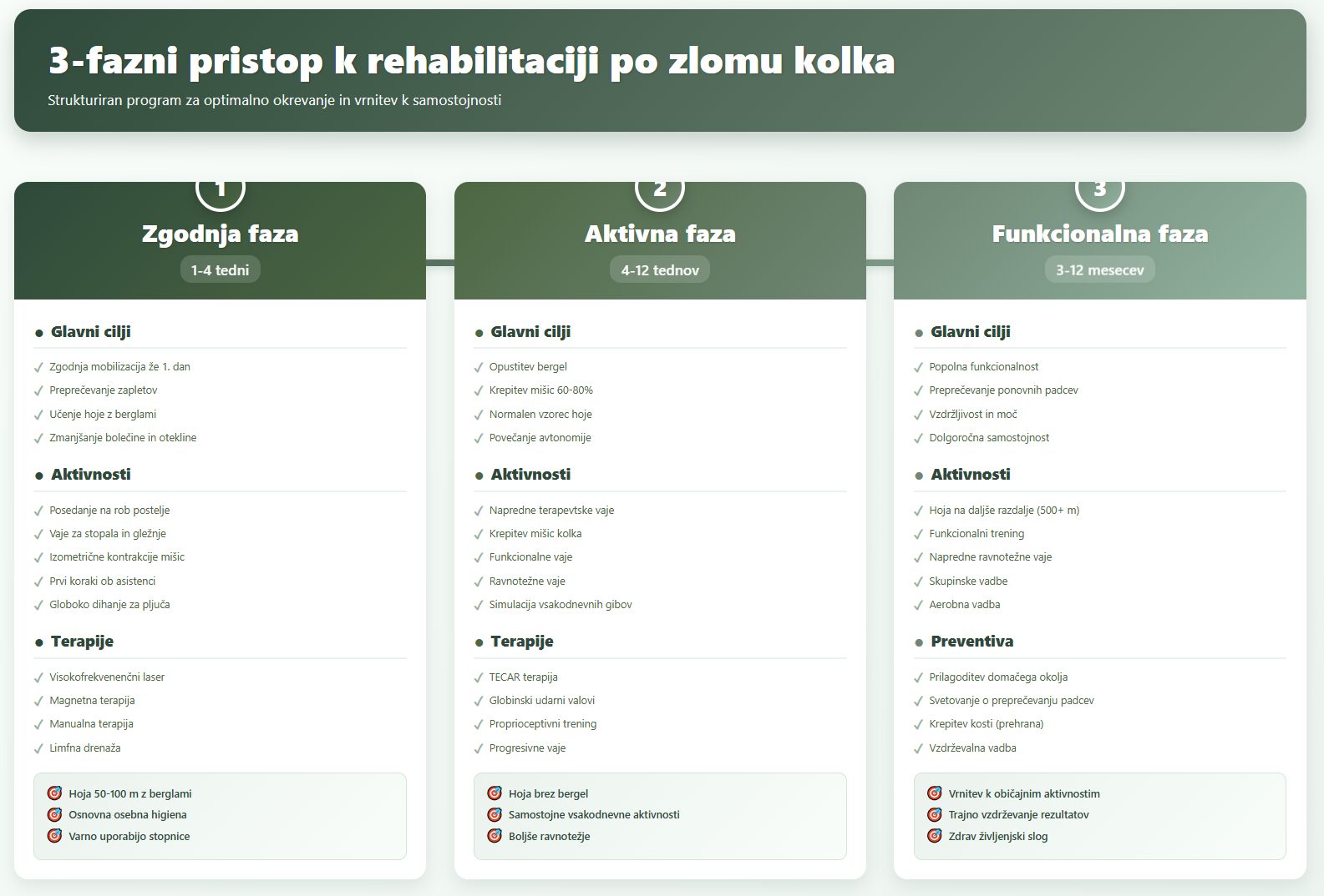 3-fazni pristop k rehabilitaciji po zlomu kolka - zgodnja faza, aktivna faza in funkcionalna faza z glavnimi cilji in aktivnostmi