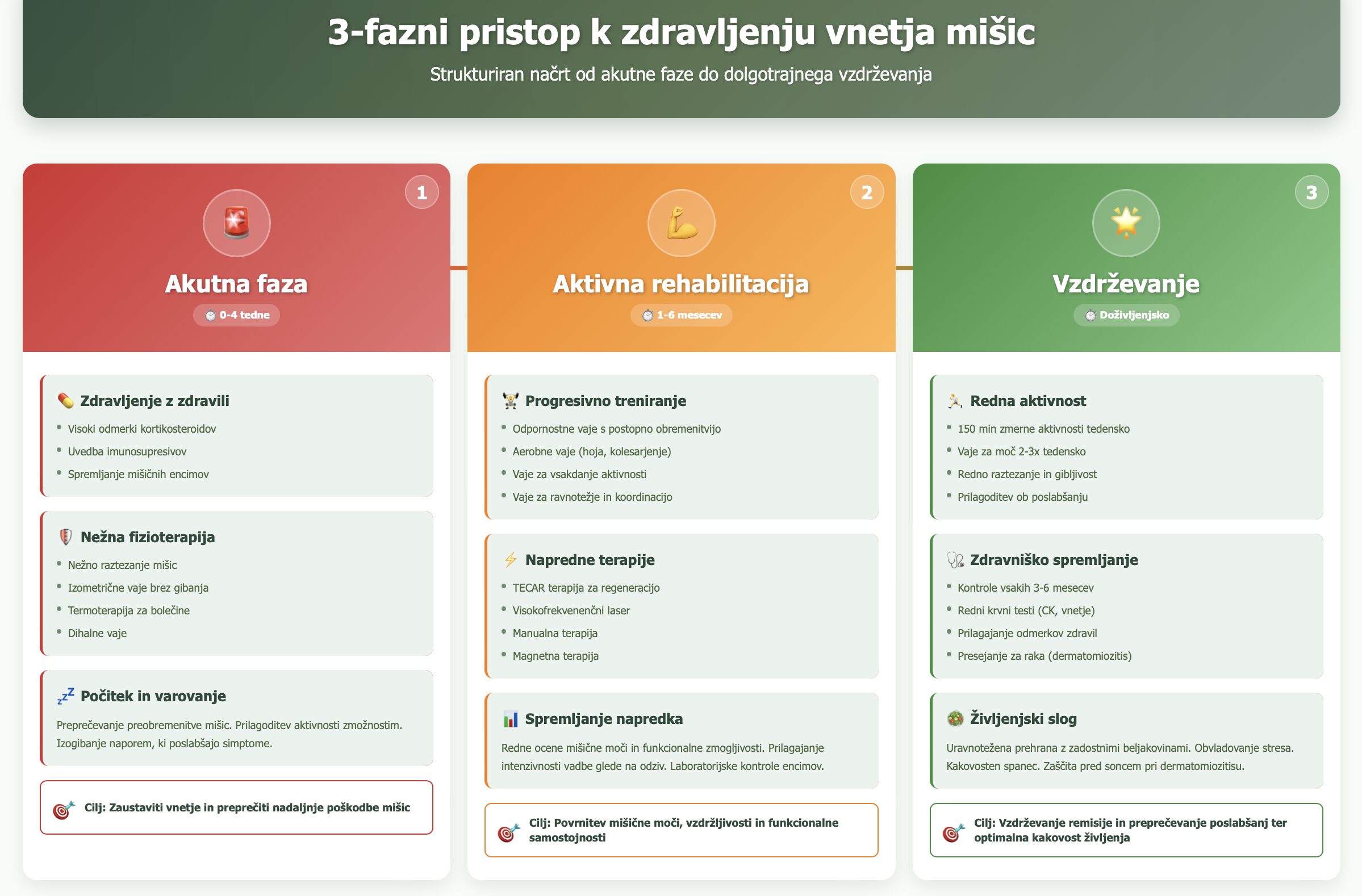 Infografika 3-faznega pristopa k zdravljenju vnetja mišic: Faza 1 - Akutna faza (0-4 tedne) z zdravili in nežno fizioterapijo, Faza 2 - Aktivna rehabilitacija (1-6 mesecev) s progresivnim treningom in naprednimi terapijami TECAR in laser, Faza 3 - Doživljenjsko vzdrževanje z redno aktivnostjo. 70% bolnikov doseže remisijo. Fizioterapija Rudolfovo Novo mesto.
